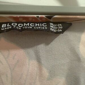 BloomChic Pink and Cream Floral Dress